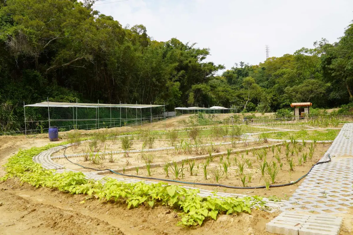 圖片來源:新竹市政府