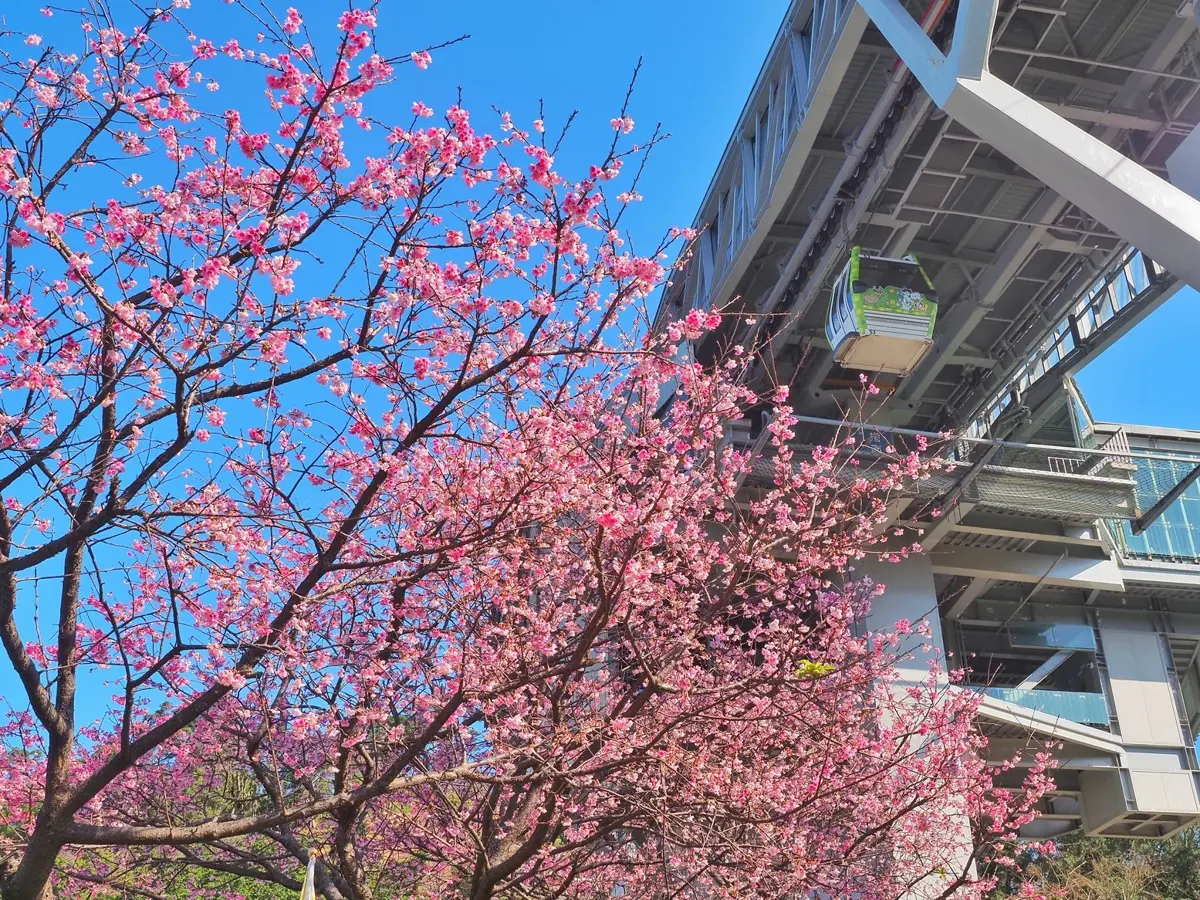 圖片來源：臺北市政府