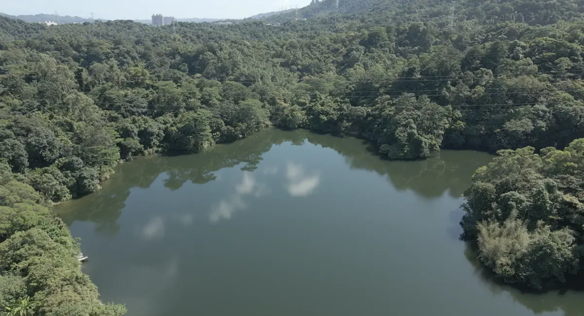 圖片來源:新北市政府