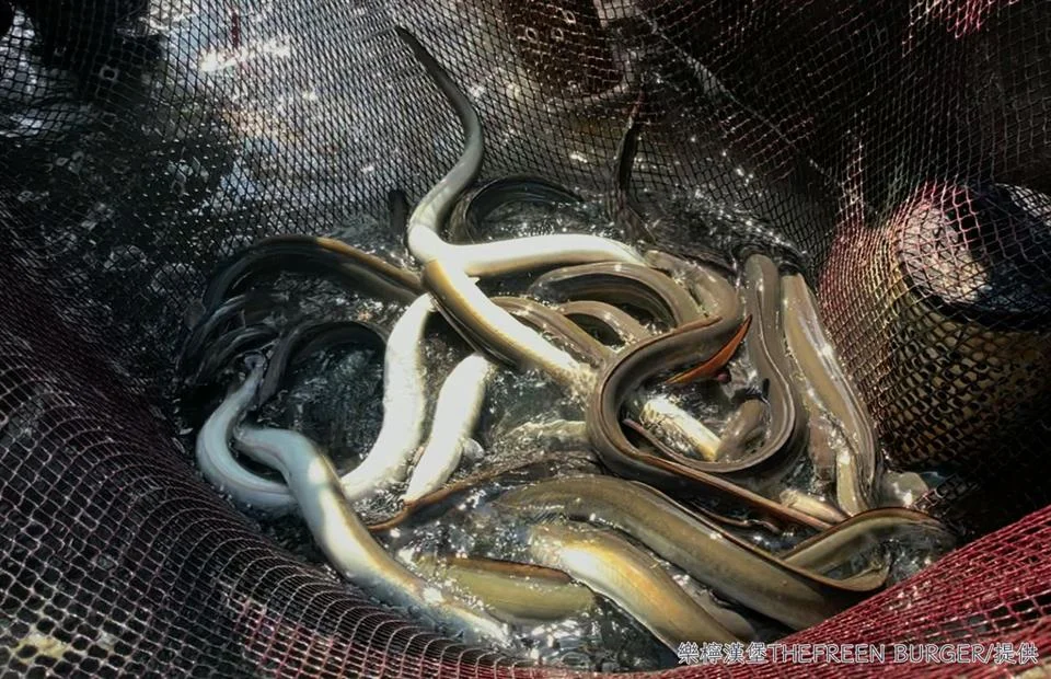 圖片來源:彰化縣政府