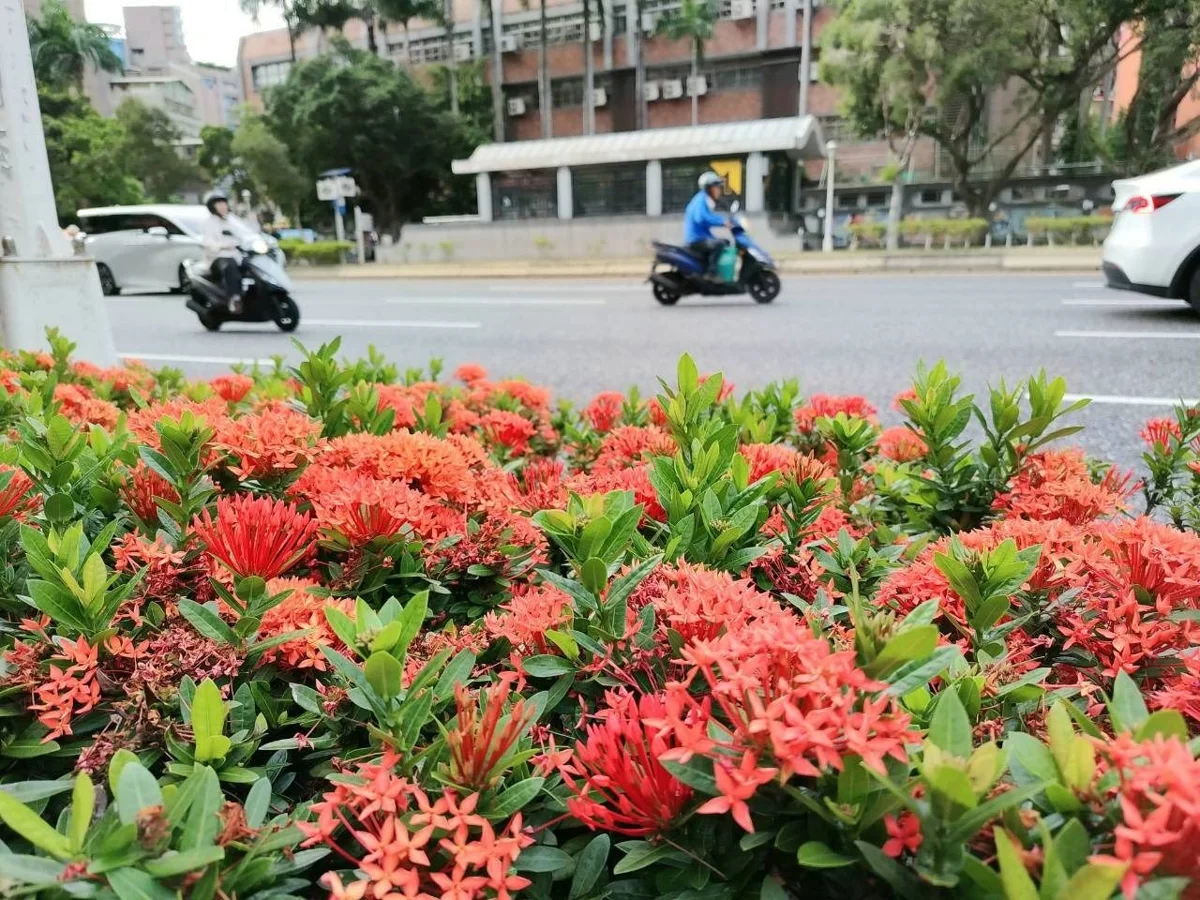 圖片來源：臺北市政府