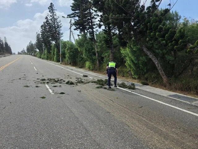 澎湖203線颱風倒樹阻交通!白沙警消聯手即刻搶通守護安全