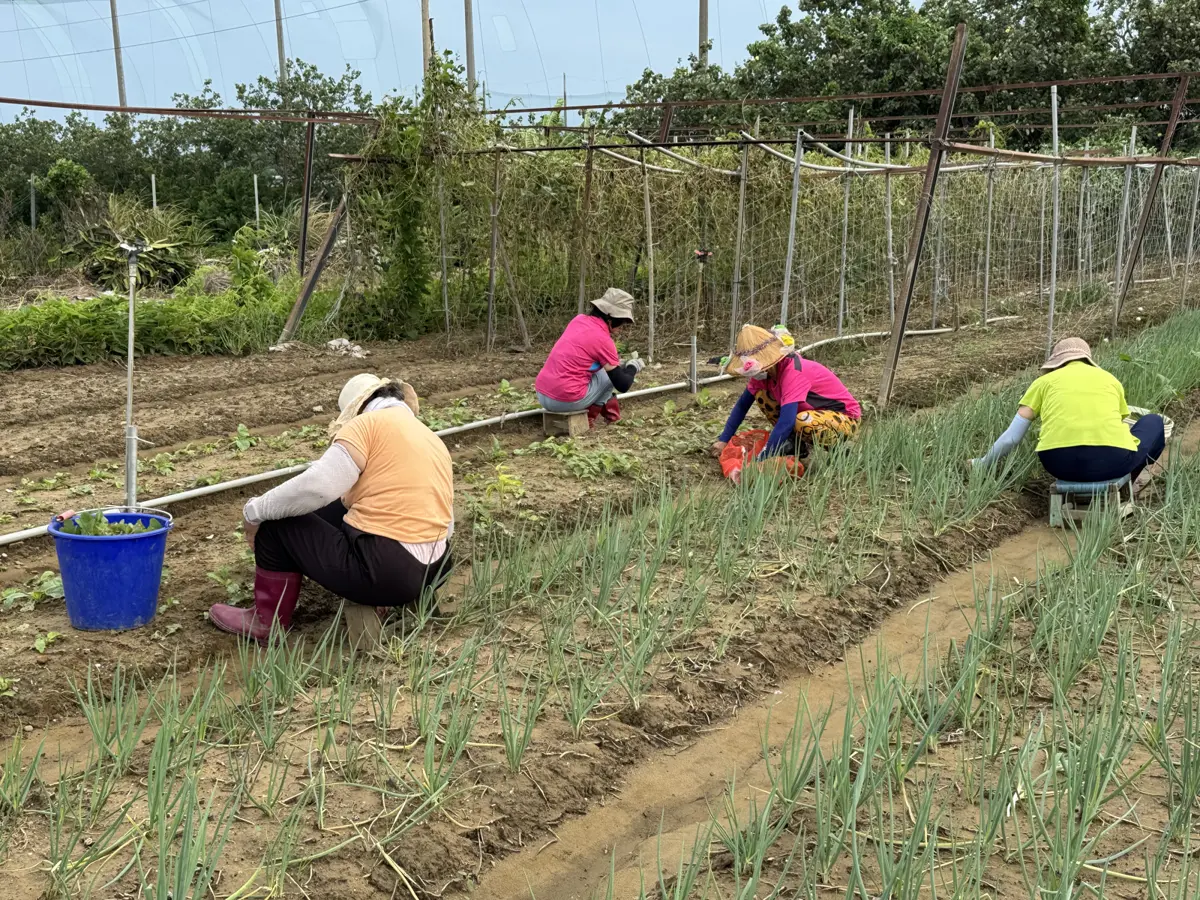 圖片來源:新竹市政府