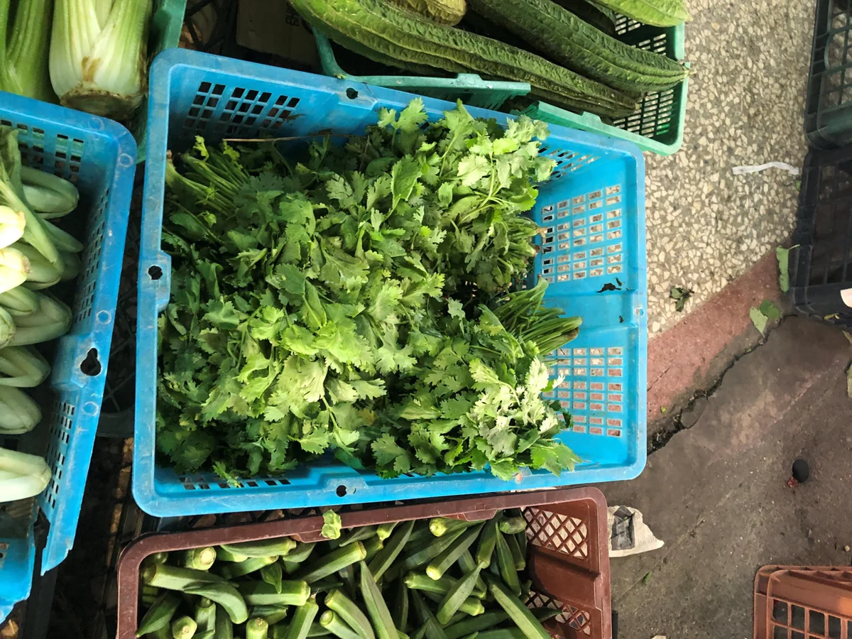 圖片來源:臺北市政府
