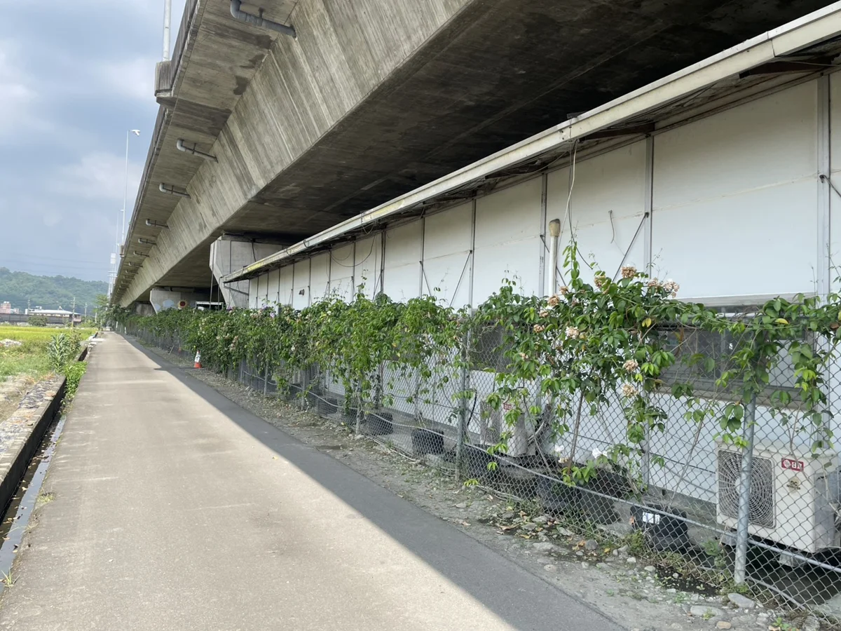 廢棄物大變身!霧峰清潔隊「3大綠化巧思」打造高架橋下綠洲