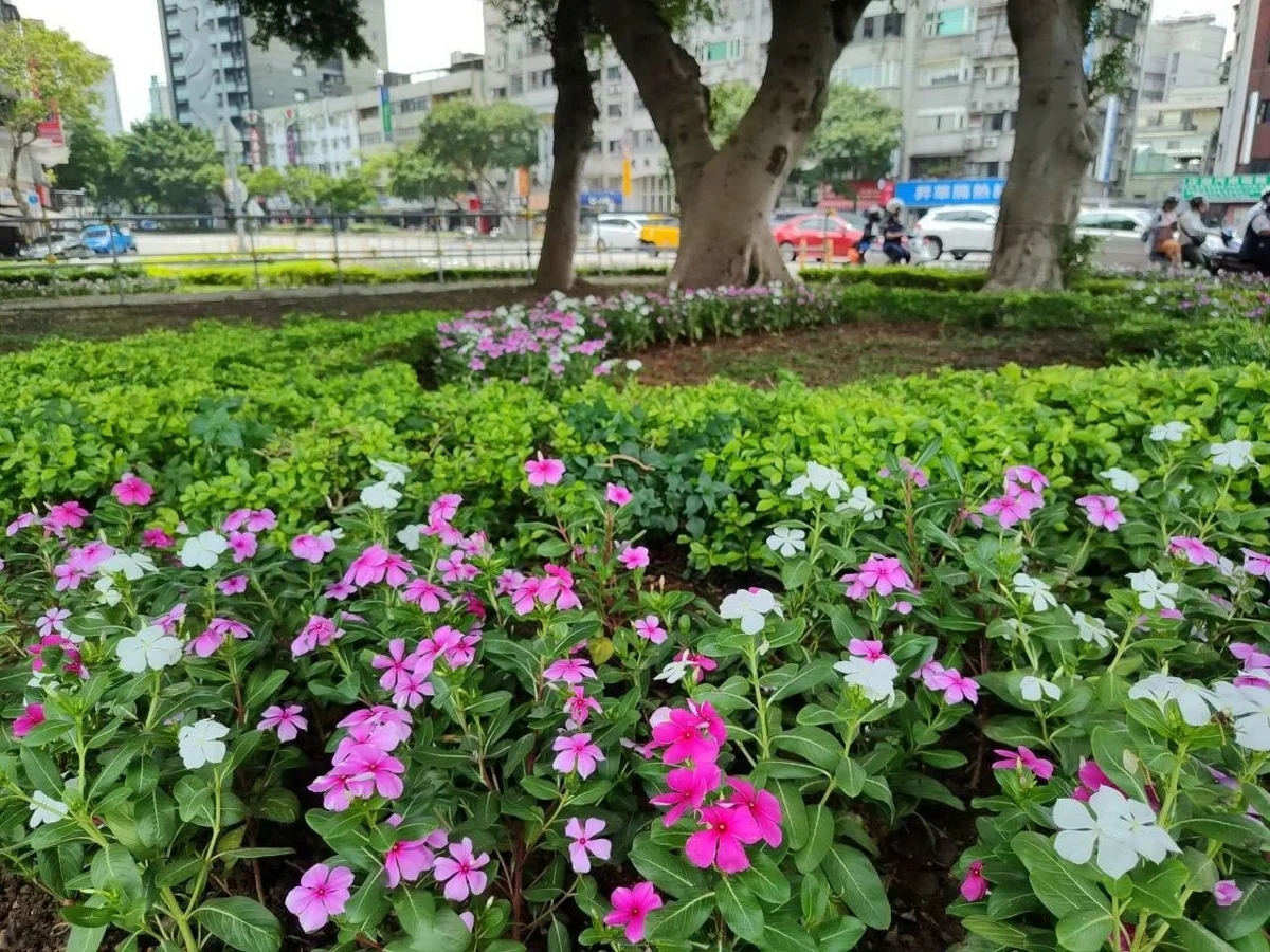 圖片來源:臺北市政府