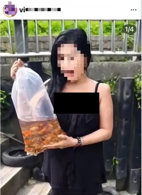 圖片來源:新北市政府