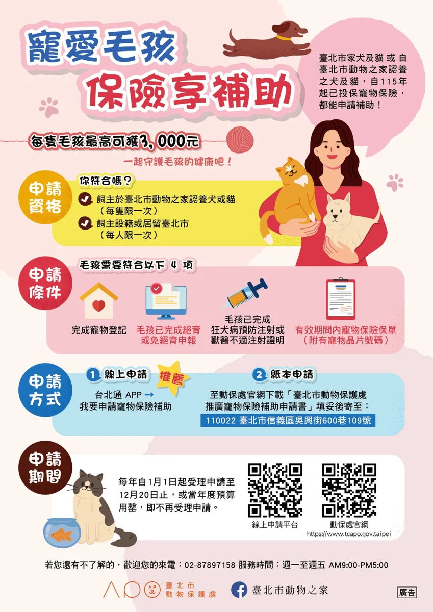 [2026最新] 飼主快看！北市寵物絕育補助最高領2000元 年底前最後機會