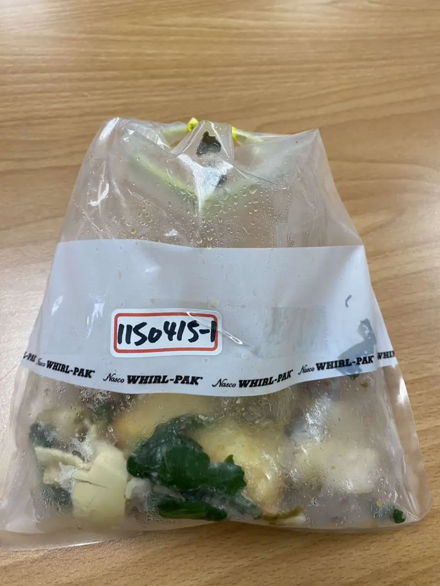 圖片來源:雲林縣政府