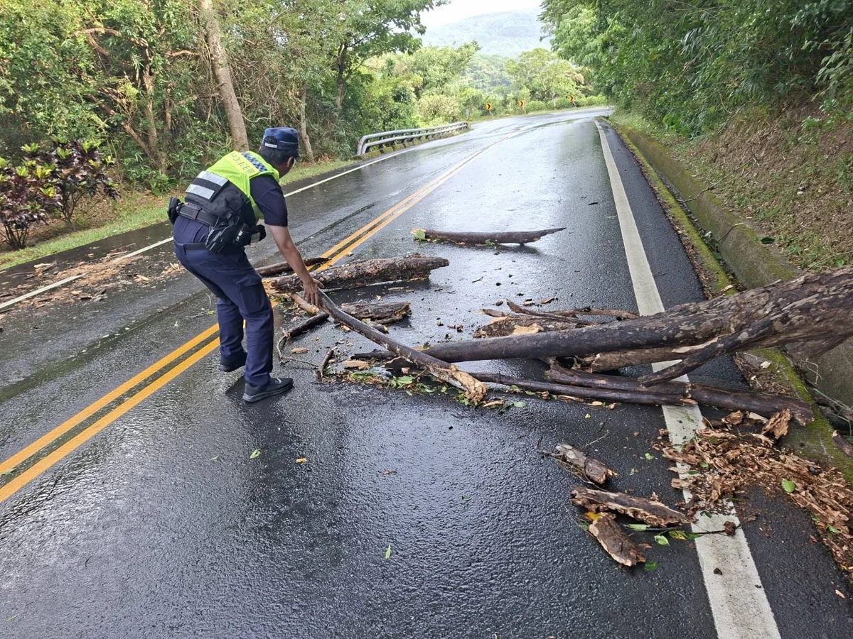 中颱薔琵過後臺9戊線路樹倒塌!大武警冒雨移樹守護連假行車安全