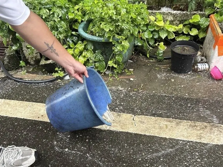 圖片來源:花蓮縣政府