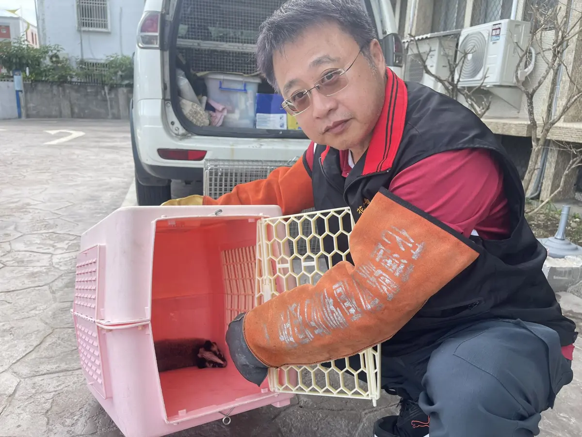 圖片來源：花蓮縣政府