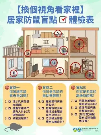 老鼠比10元硬幣還會鑽!苗栗環保局揭居家防鼠3大盲點,一篇看懂「三不原則」