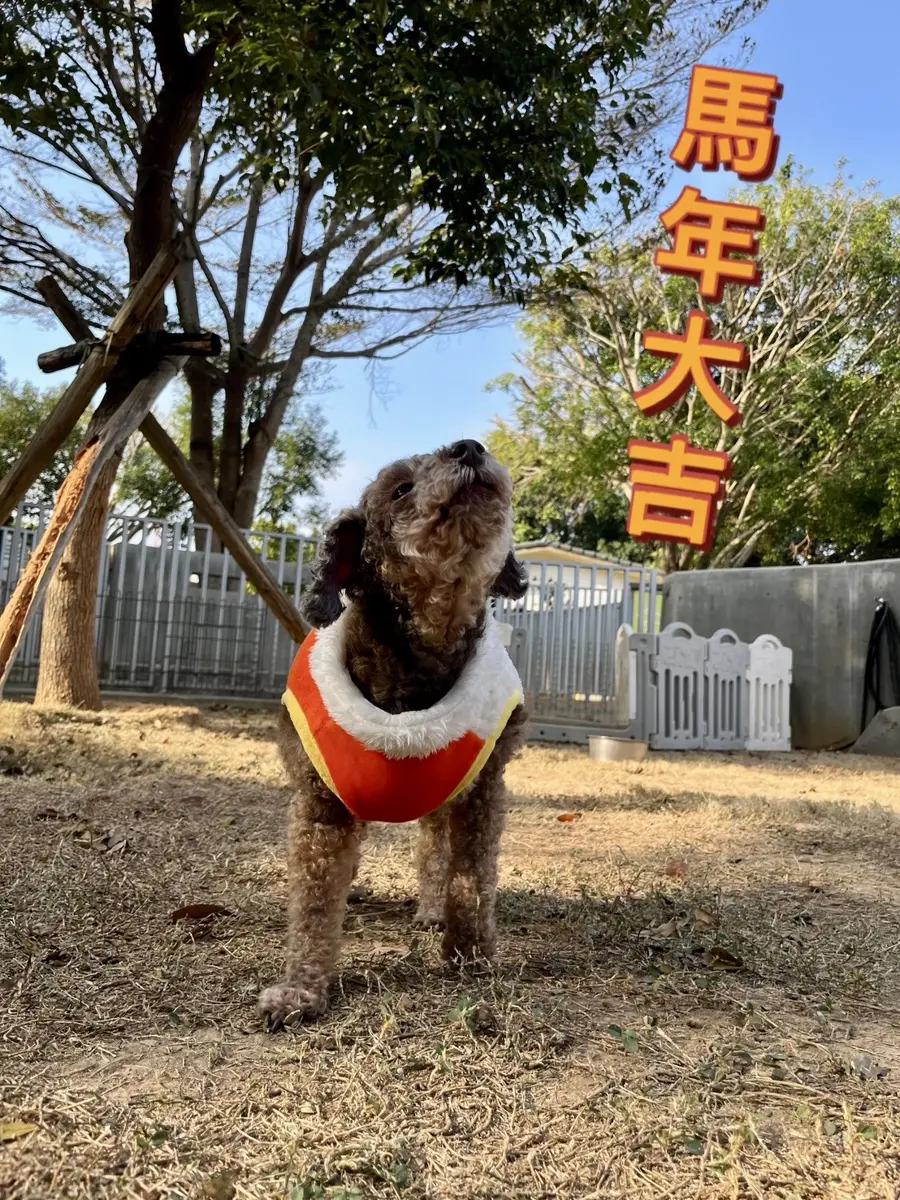 圖片來源:臺中市政府