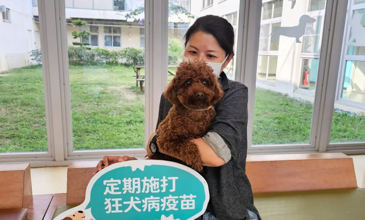 圖片來源:新竹市政府
