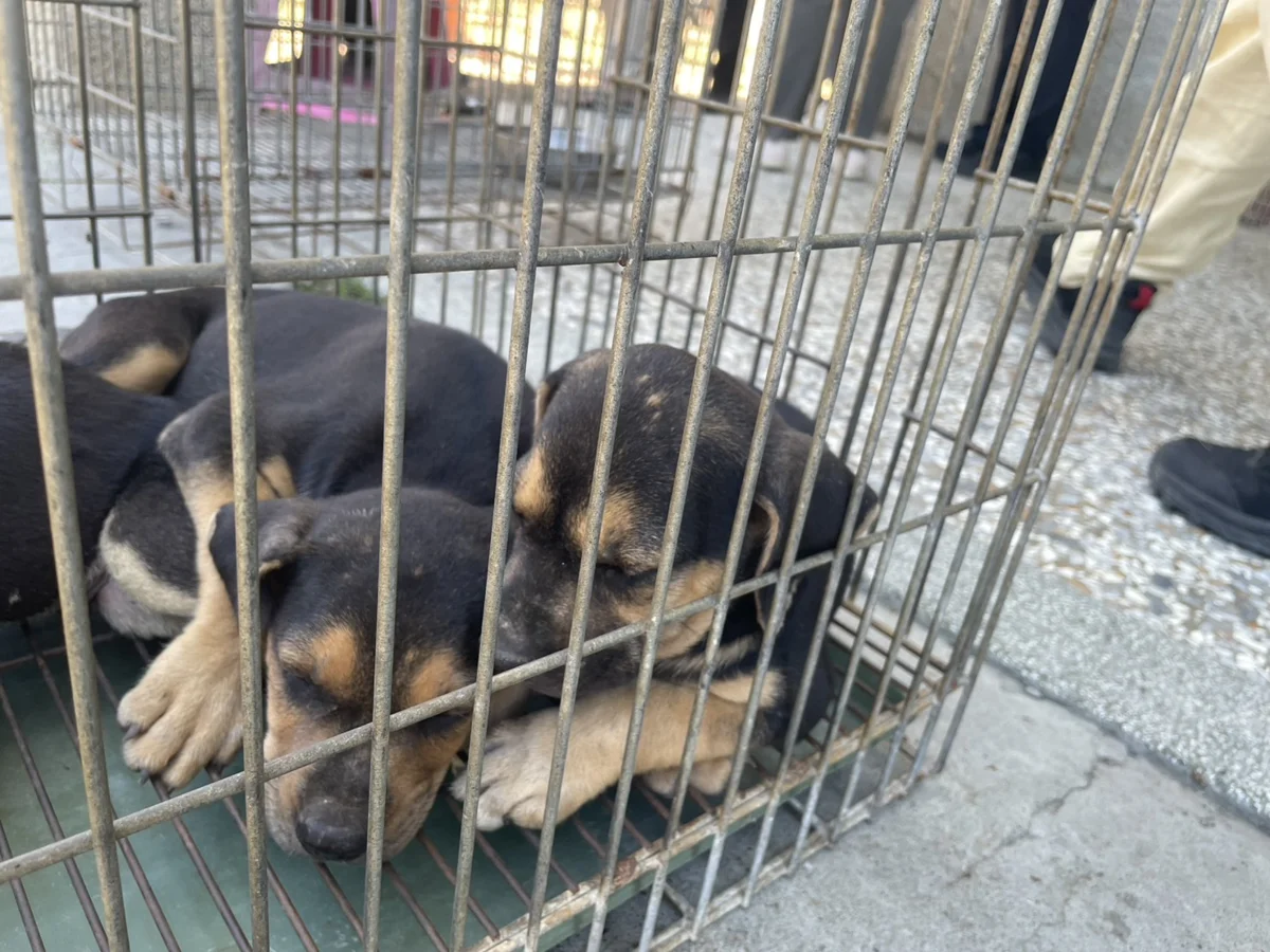 圖片來源：臺南市政府