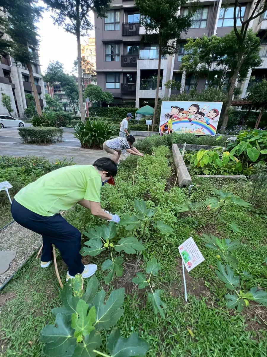 圖片來源:新北市政府