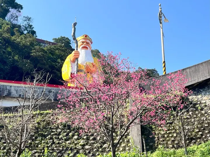 圖片來源:新北市政府