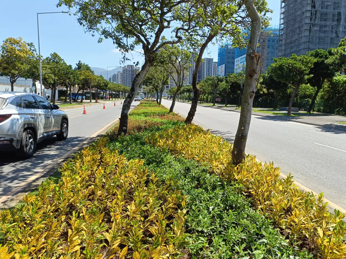 圖片來源：新北市政府