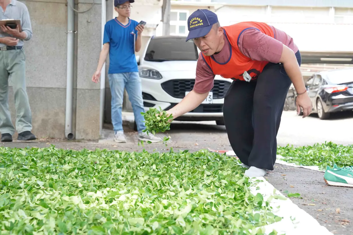 圖片來源：新北市政府