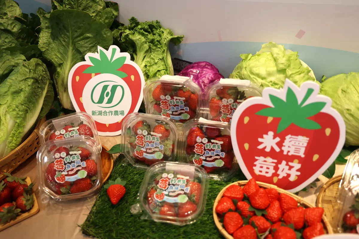圖片來源:雲林縣政府
