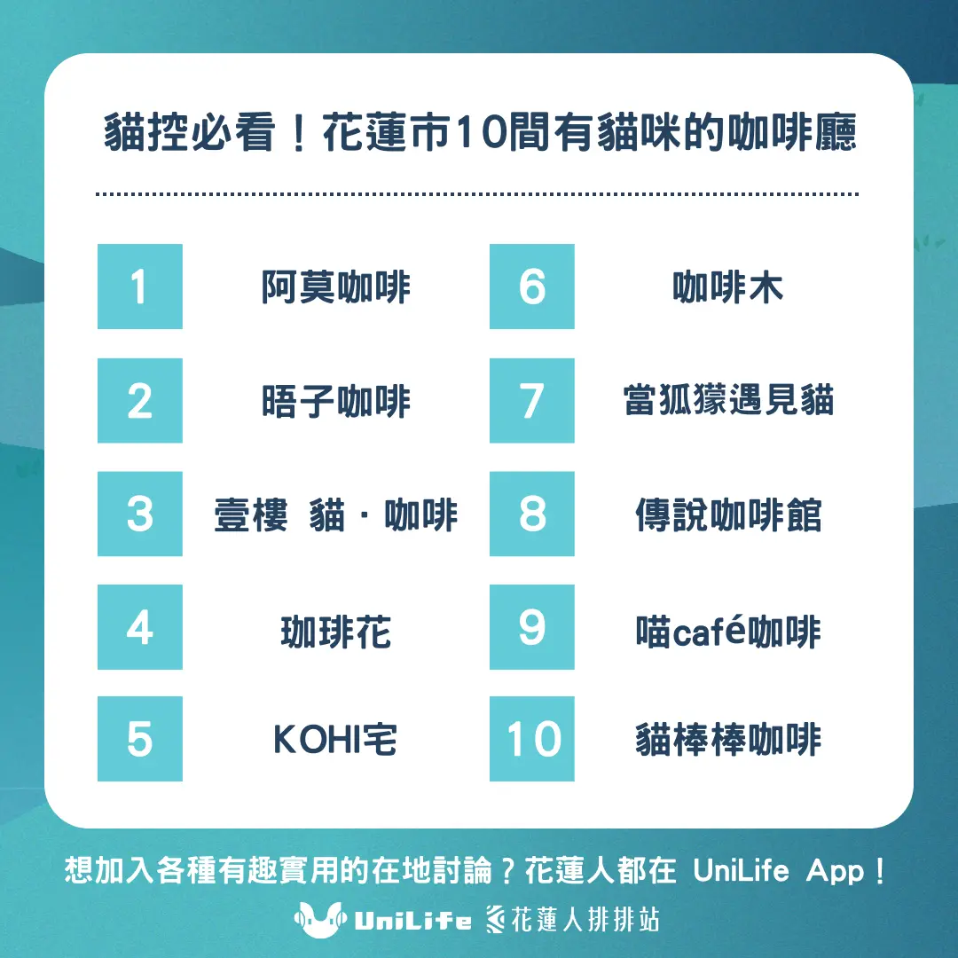 花蓮貓咪咖啡廳推薦!十大貓控必訪名單