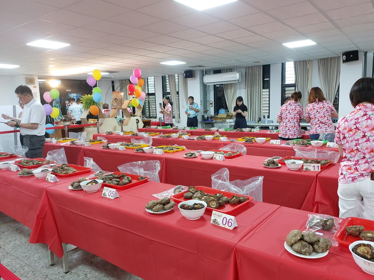 圖片來源：臺中市政府
