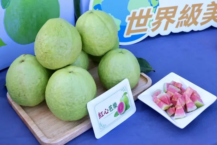 圖片來源:臺南市政府