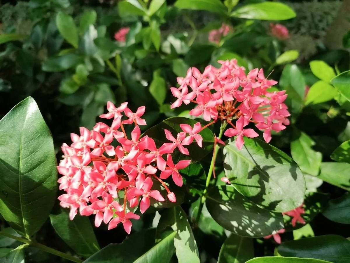 圖片來源：臺北市政府