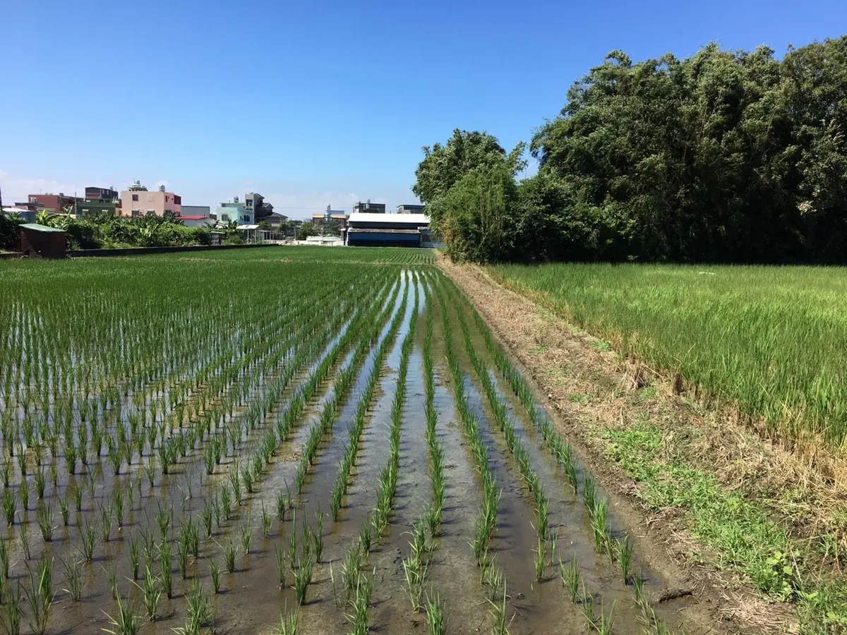 圖片來源:新竹縣政府