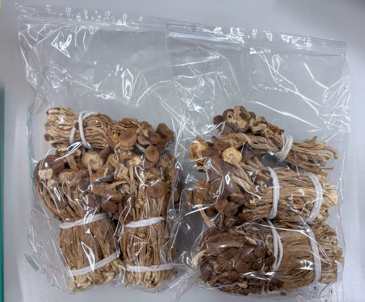 圖片來源:臺北市政府