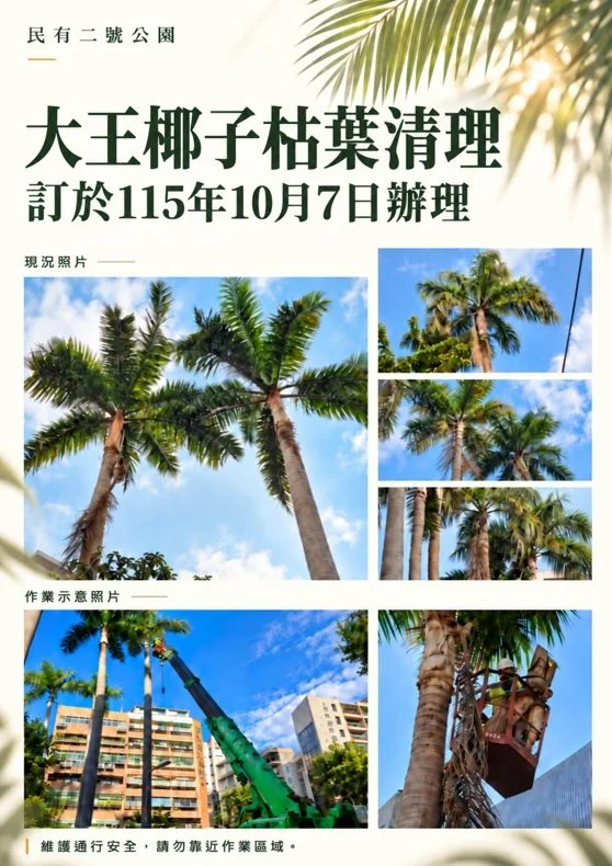 18公尺巨葉恐砸人車!松山民有二號公園10/7高空清理,請民眾避開交管區