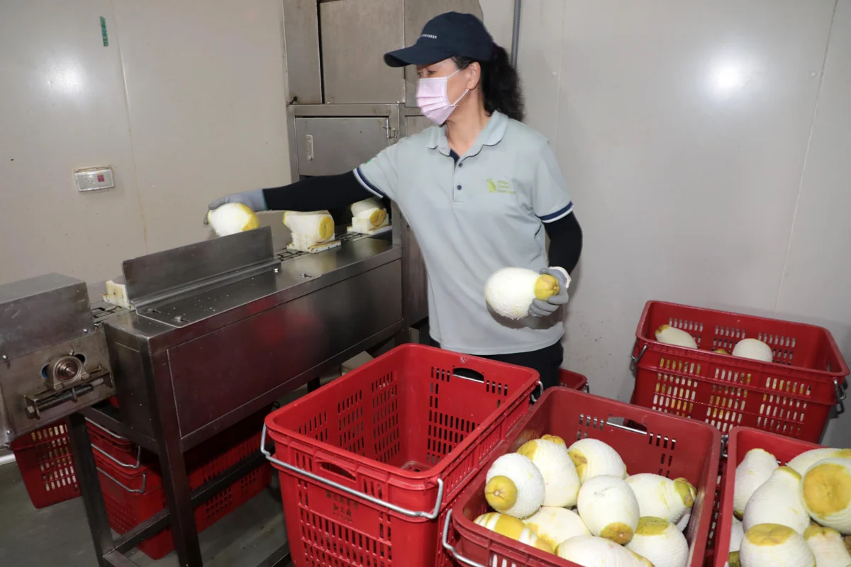 圖片來源:臺南市政府