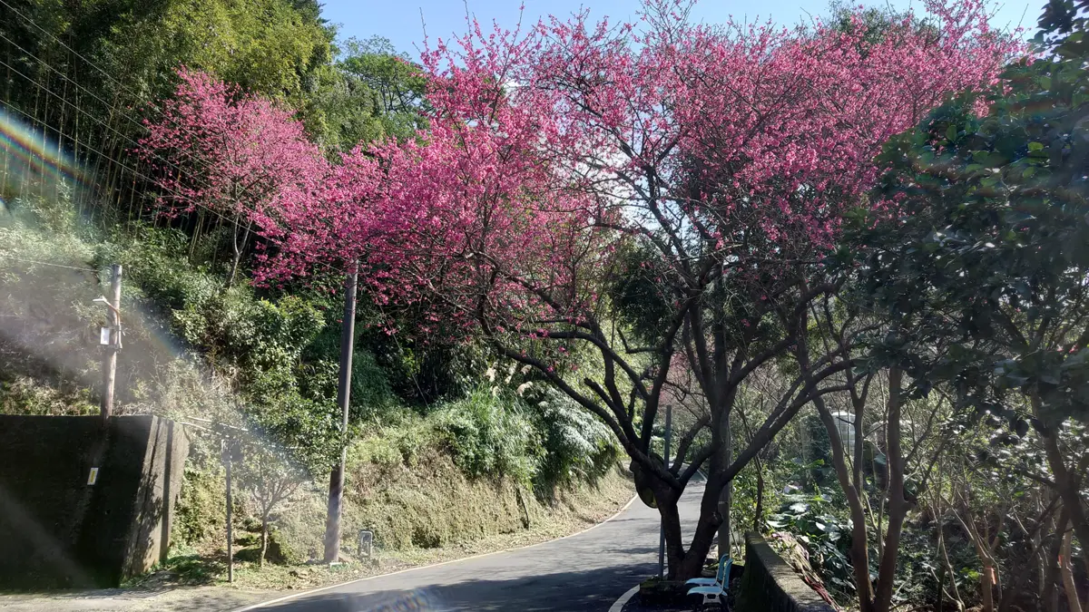 圖片來源:新北市政府