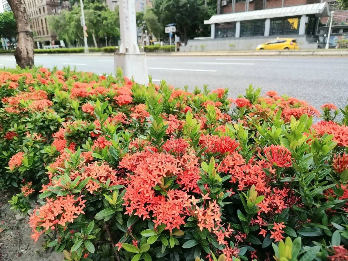 圖片來源：臺北市政府