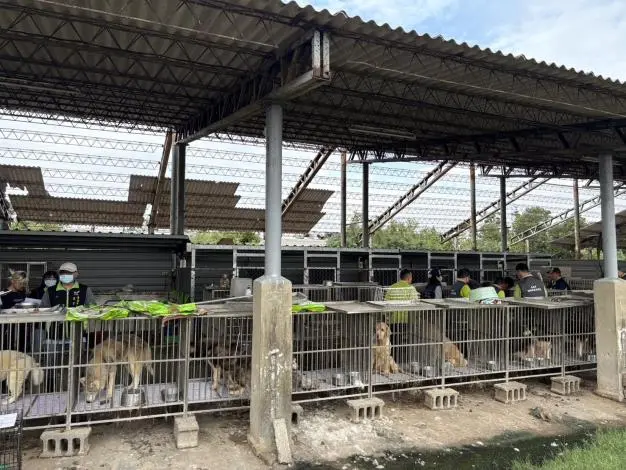圖片來源:臺南市政府