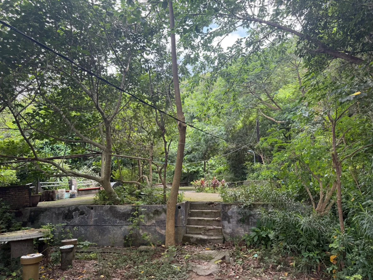 圖片來源：臺北市政府