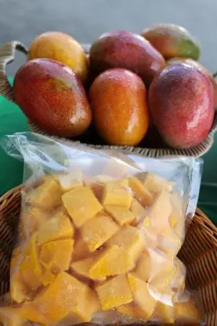 圖片來源:臺南市政府