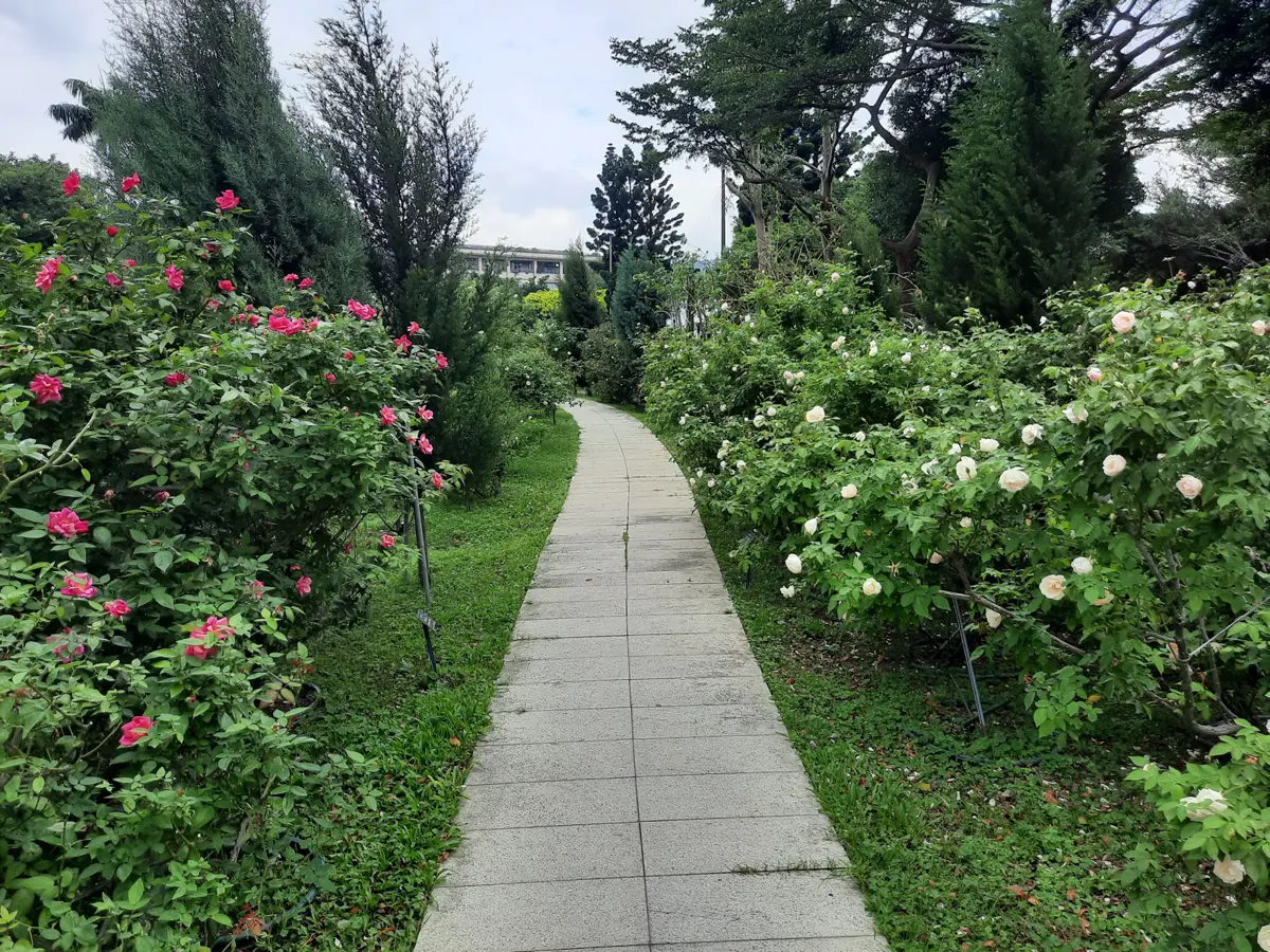 圖片來源:臺北市政府