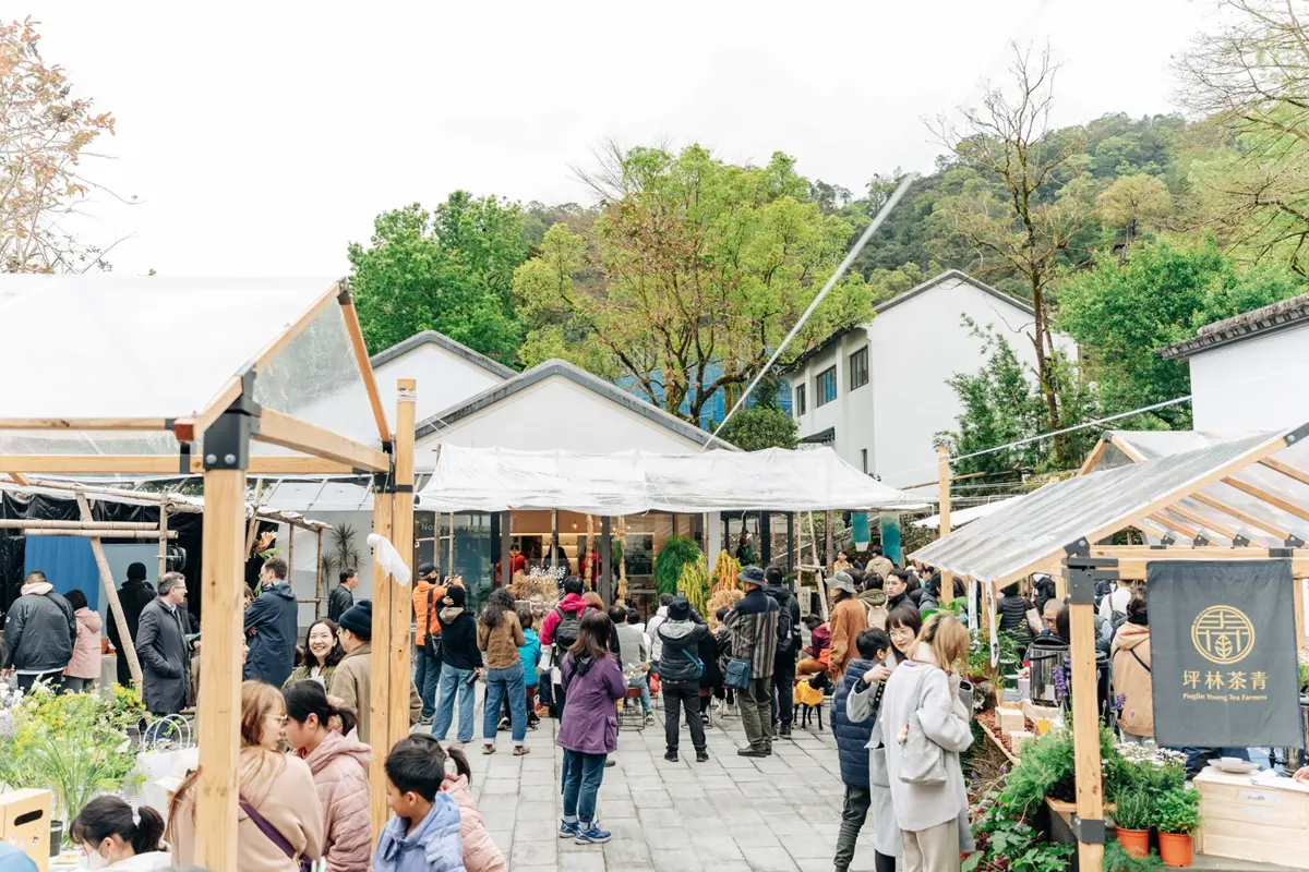 2026新北「茶山繚療」3月開跑！坪林「茶山市」限時兩天登場，集章再送限定香包