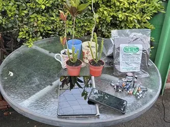 圖片來源:臺中市政府