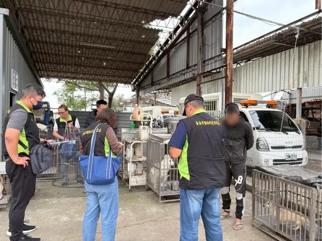 台南七股破獲非法繁殖場！90隻名貴犬貓獲救 業者重罰51.5萬