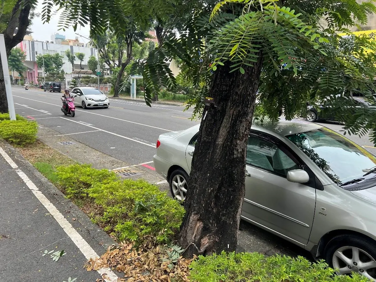 圖片來源:高雄市政府