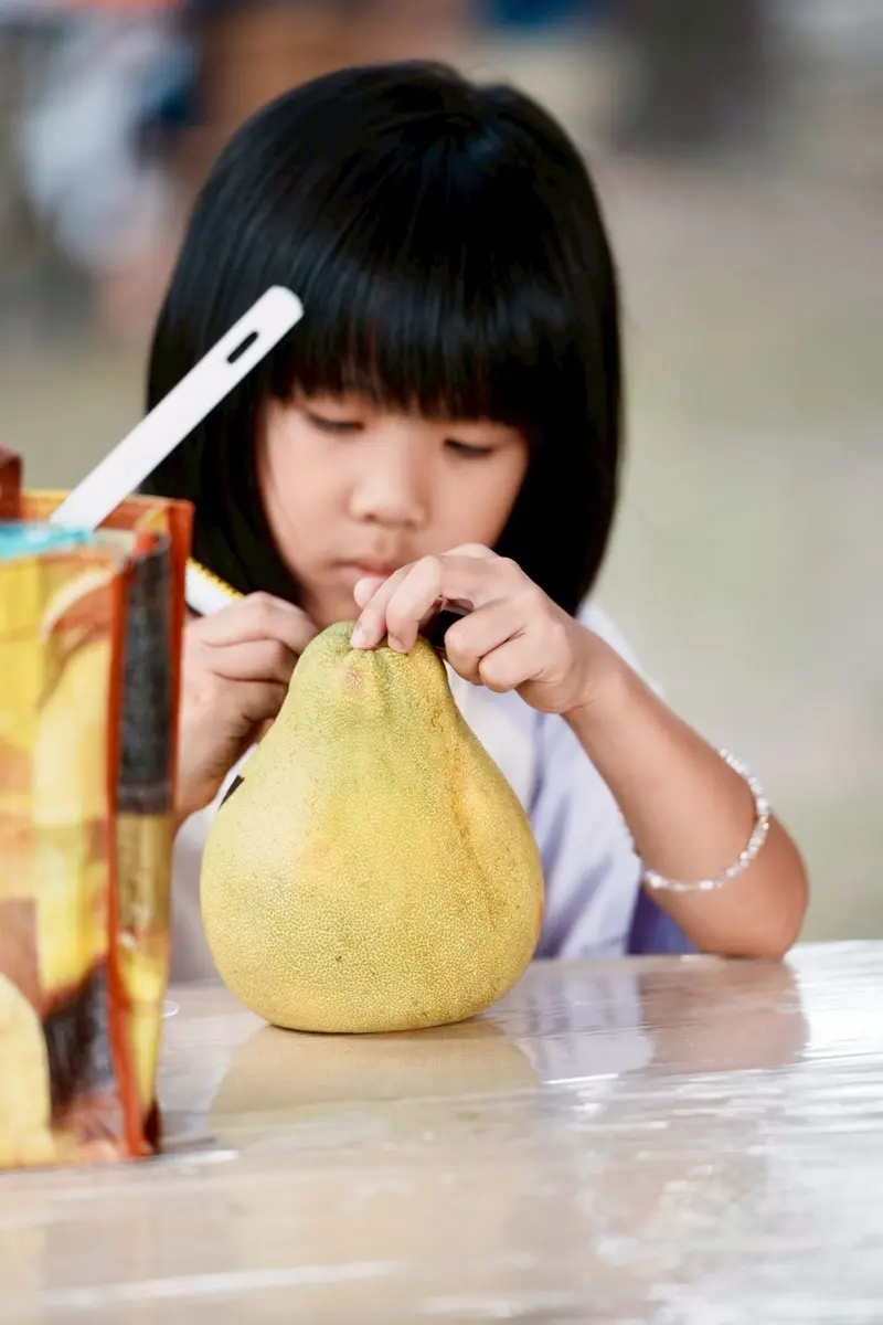 圖片來源:花蓮縣政府
