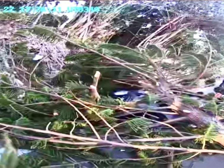 圖片來源:苗栗縣政府