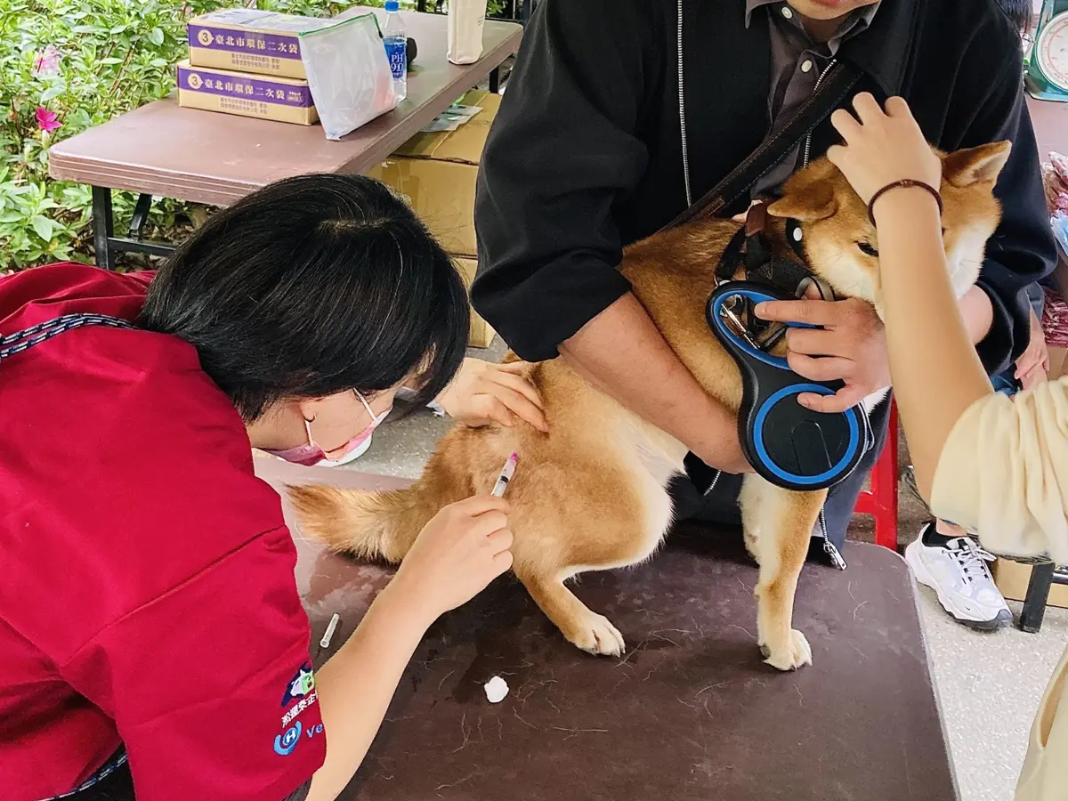 賞花兼防疫!北市3/29花伴野餐日,免費為毛孩打狂犬病疫苗