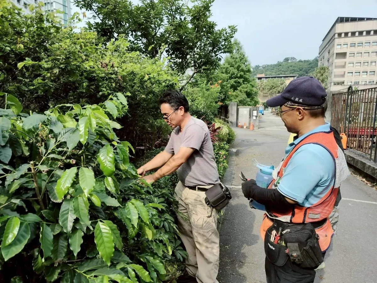 圖片來源：臺北市政府