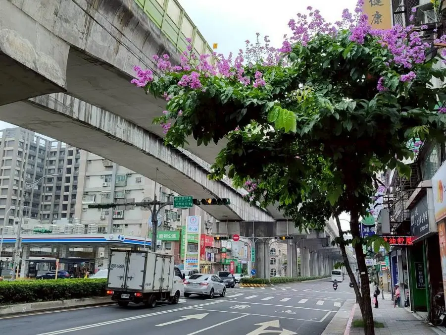 圖片來源:臺北市政府