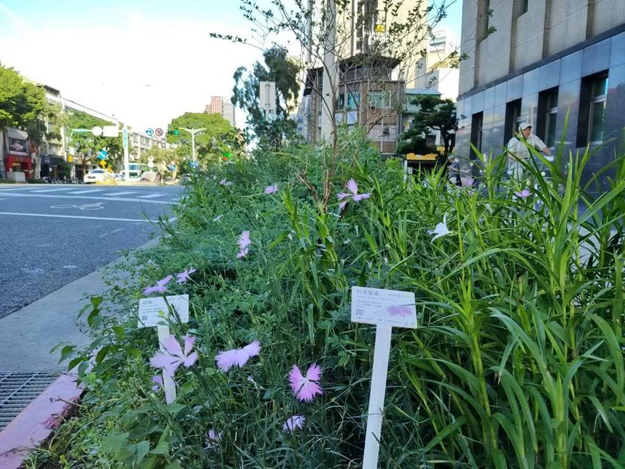圖片來源:臺北市政府