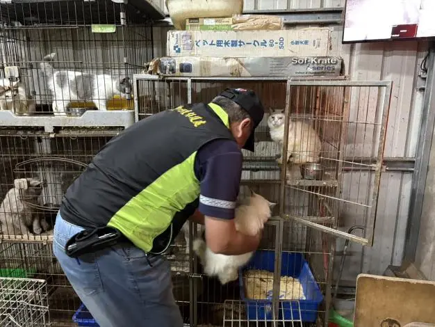 圖片來源:臺南市政府